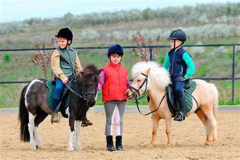 Where to Go Horse Riding in Madrid | LAE Kids Spanish for Kids