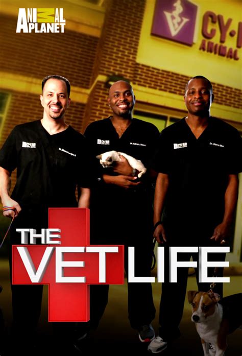 The Vet Life (2016) S06E08 - daddy day care - WatchSoMuch