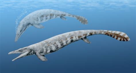 List of mosasaurs | Fossil Wiki | Fandom