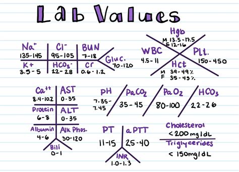 Gallery - Cece's Study Guides