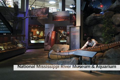 National Mississippi River Museum and Aquarium - The Musaic Design Group