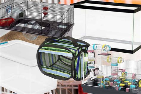 5 Types of Hamster Cages Every Pet Owner Needs To Know – Hamsters101.com