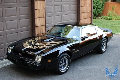 1976 Pontiac Firebird Trans Am Black and Gold | Pontiac Firebird Trans Am