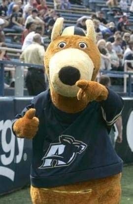 Akron Zips - mascot - Zippy the Kangaroo | AKRON | Pinterest