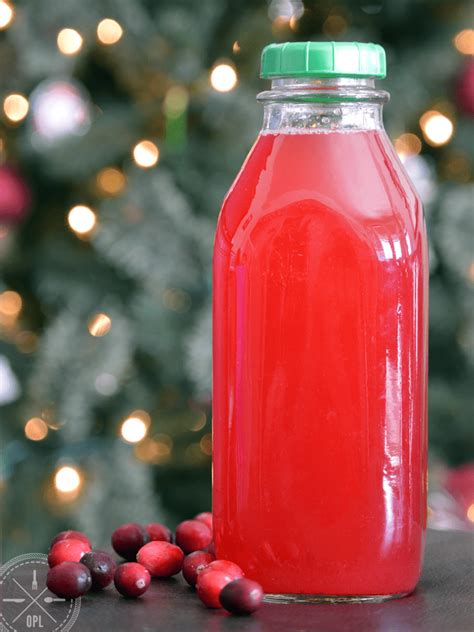 The Homemade Cranberry Juice Recipe - Our Paleo Life | Recipe ...