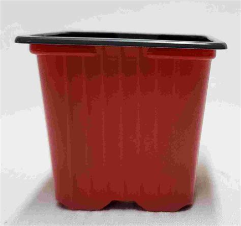 Plastic seedling pots - 7 x 7 x 6 cm - Red - Stone Lantern Bonsai Nursery