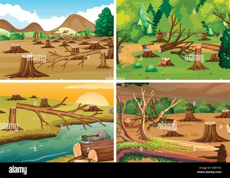 Deforestation Caricature