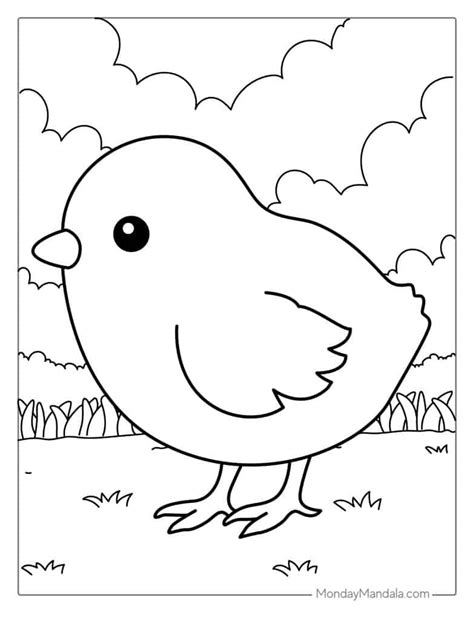 Baby Chick Hatching Coloring Page