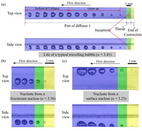 Snapshots of travelling cavitation bubbles. | Download Scientific Diagram