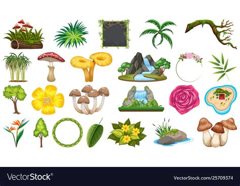 Set different nature objects Royalty Free Vector Image