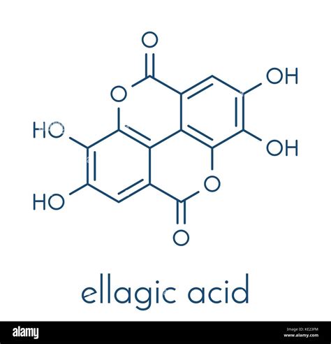 Ellagic acid dietary supplement molecule. Skeletal formula Stock Vector ...