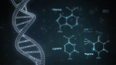 Animated Model Dna Molecule Concept Animation Stock Footage Video (100% ...