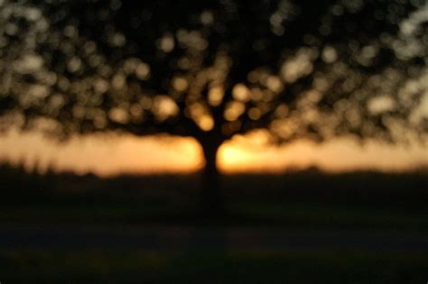 Out Of Focus Photography (On Purpose!) · How To Take A Bokeh Photograph ...