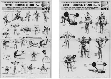 Joe Weider Exercise Charts