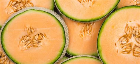 Cantaloupe Health Risk - FDA Takes Action Against Salmonella ...