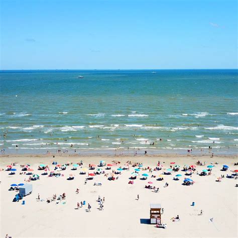 Guide to Galveston Island State Park | Visit Galveston