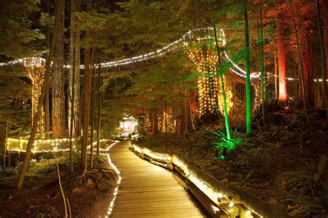 Canyon Lights: Vancouver City Capilano Suspension Bridge Park Tour ...