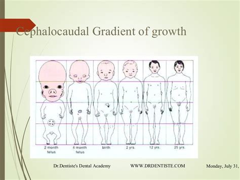 GROWTH AND DEVELOPMENT IN ORTHODONTICS