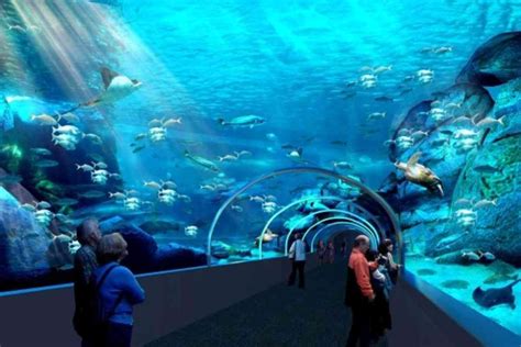 The Two Oceans Aquarium is an aquarium located at the Victoria & Alfred ...