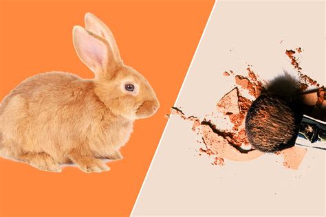 California Just Became the First State to Ban Beauty Products Tested on Animals | Glamour