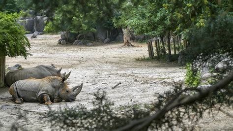 The Maryland Zoo in Baltimore | The Cultural Landscape Foundation