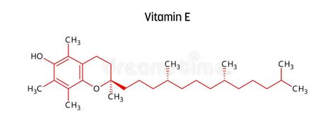 Vitamin E Structural Formula of Molecular Structure Stock Vector ...