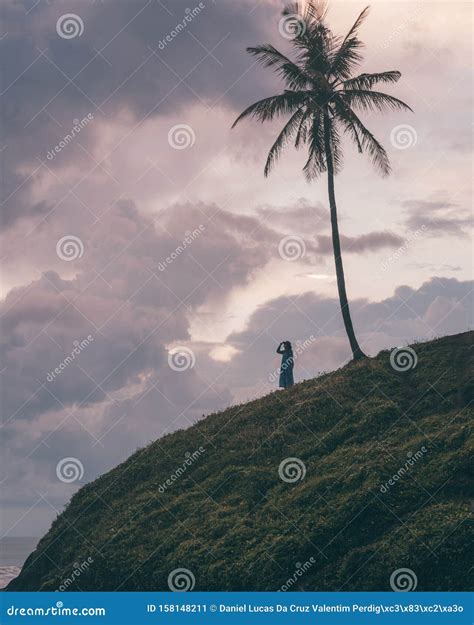 Beautiful Sunset in Canggu, Bali, Indonesia Stock Image - Image of green, coconut: 158148211