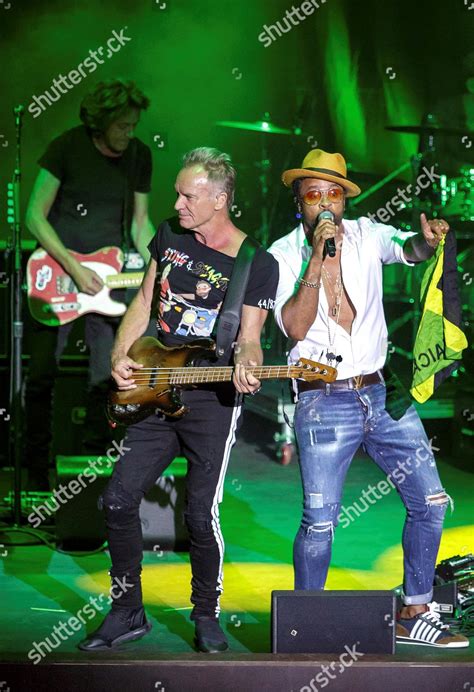 Sting Shaggy Editorial Stock Photo - Stock Image | Shutterstock