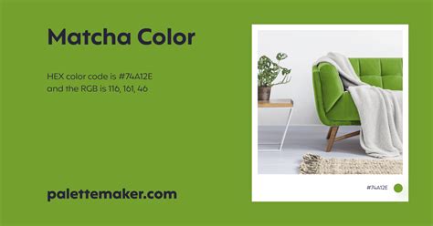 Matcha Color - HEX #74A12E Meaning and Live Previews - PaletteMaker