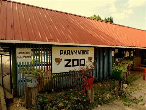 Sara In Suriname: Dag 22: Paramaribo Zoo