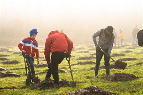 FREE TREES FOR SCHOOLS | Kitchen Garden Magazine