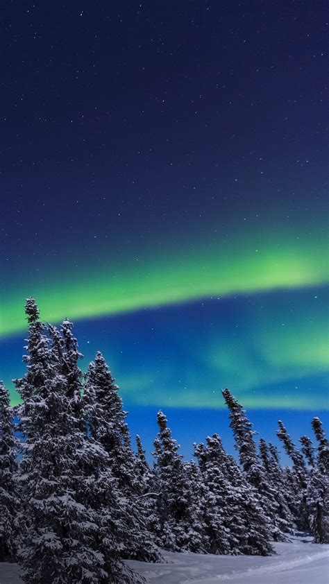 Aurora borealis, Northern Lights above tent lit up with lantern, Chena ...