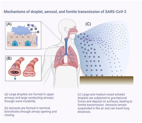 Aerosol transmission of SARS‐CoV‐2 by children and adults during the COVID‐19 pandemic ...