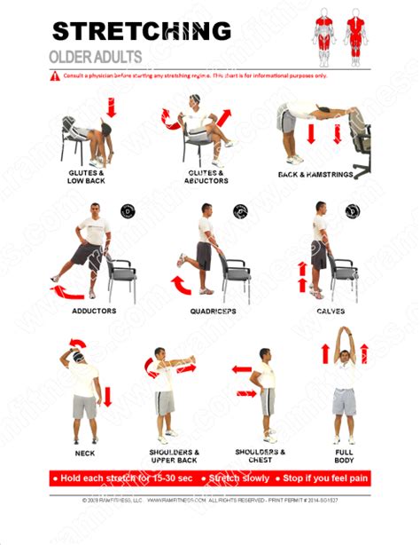 Stretching Guides - 8.5" x 11" | Senior fitness, Low impact cardio, Heart disease prevention