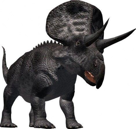 Dinosaurusi.com - Zuniceratops - horned dinosaur | Dinosaur, Prehistoric animals, Dinosaur fossils