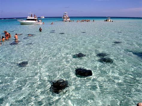 Grand Cayman stingray city sandbar catamaran sailing snorkeling