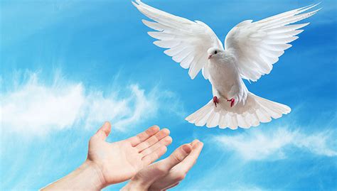 How To Receive The Holy Spirit | Good News Unlimited