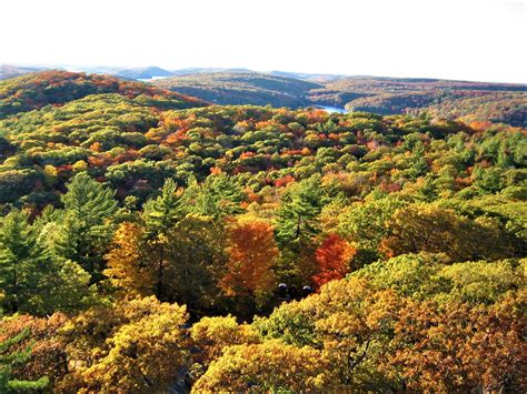 10 Best Hiking Trails In Algonquin Park For Fall Foliage