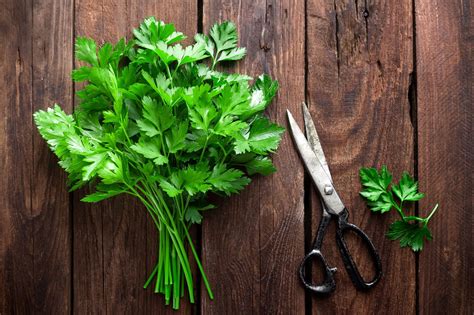 5 Recipes with Parsley - Garden Republic