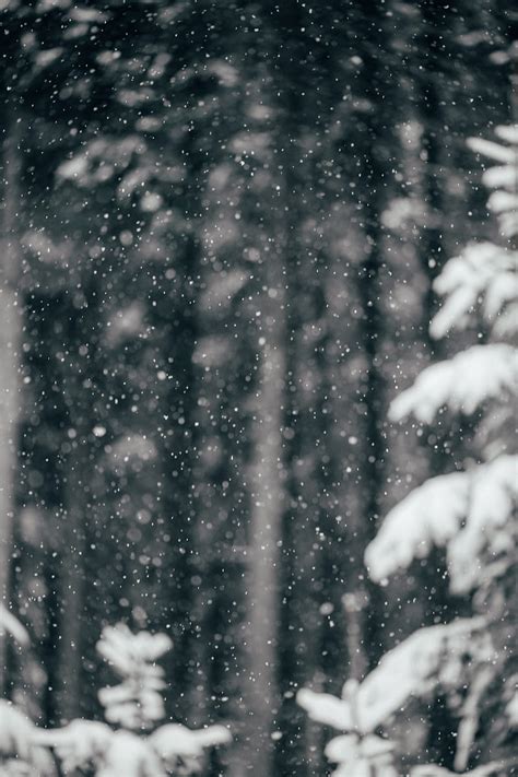 Snowfall, snow, winter, HD phone wallpaper | Peakpx