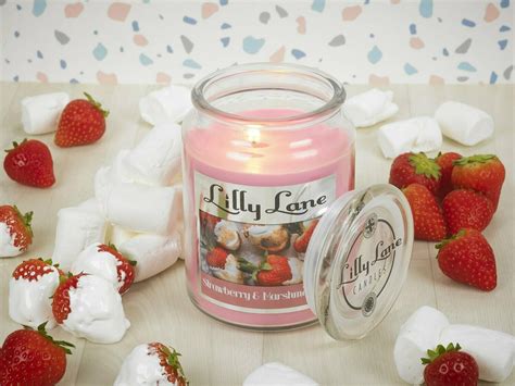 Lilly Lane Strawberry and Marshmallow 18oz Jar Candle