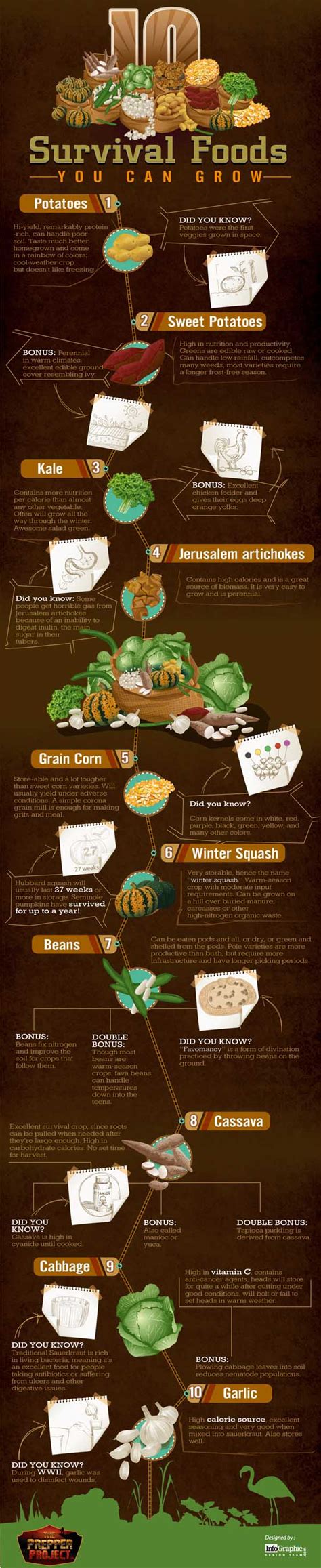 10 Survival Foods You Can Grow | The Survival Gardener