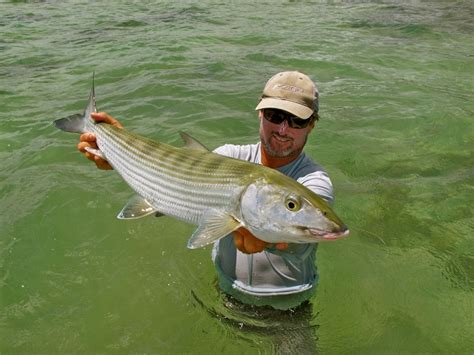 Bonefish Get Big In Hawaii - Fly Fisherman