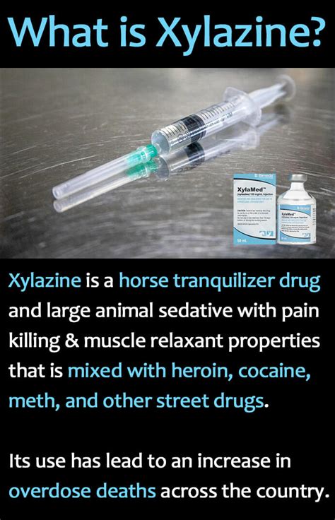 Xylazine Horse Tranquilizer Drug Use is Increasing - SummitRehab