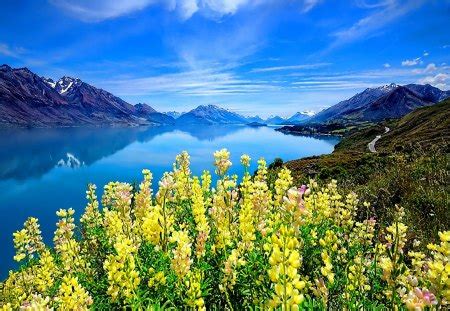 Flowering mountain meadow - Mountains & Nature Background Wallpapers on Desktop Nexus (Image ...