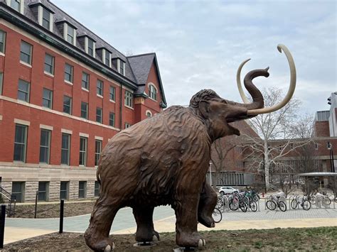 So there's a giant mammoth statue near the quad now - Smile Politely — Champaign-Urbana's ...