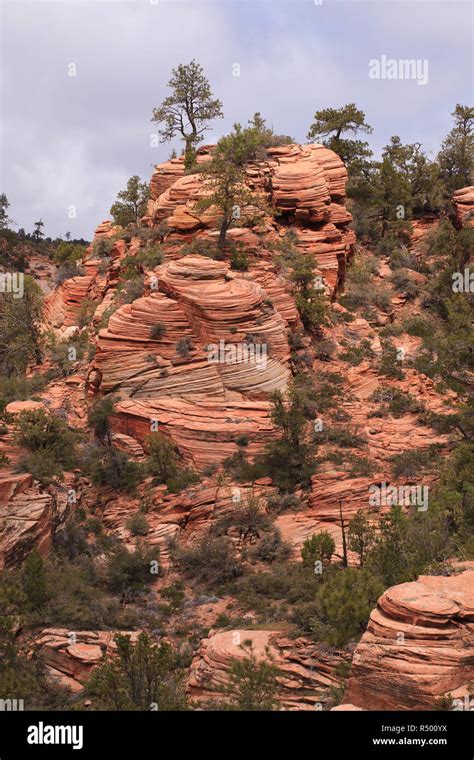 Navajo Sandstone near Zion National Park, Utah Stock Photo - Alamy