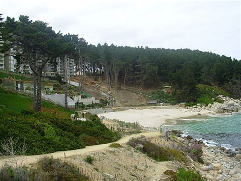 Foto de Algarrobo, Chile