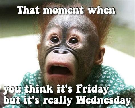 Wacky Wednesday! #lol #wednesday #wackywednesday #yougotthis | Funny ...