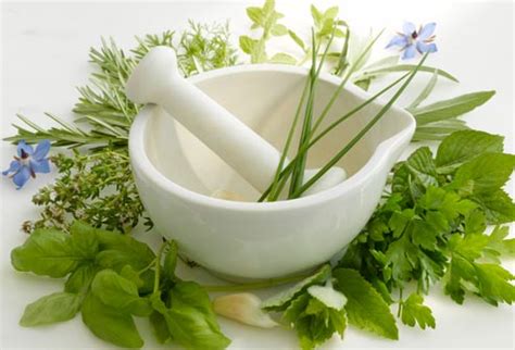 What are the benefits of herbal supplements? - Trust The Herb